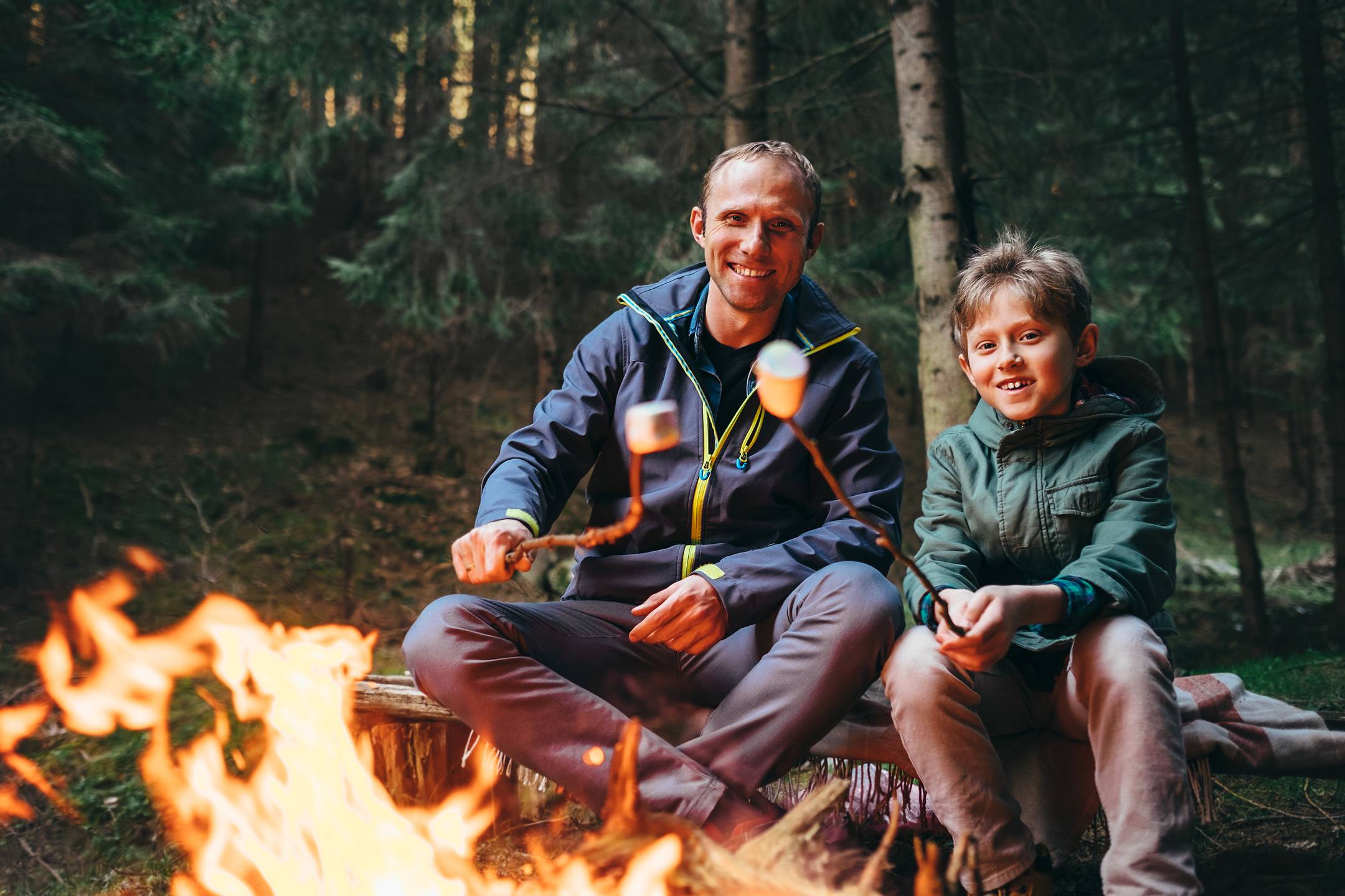 Father,And,Son,Roast,Marshmallow,Candies,On,The,Campfire,In